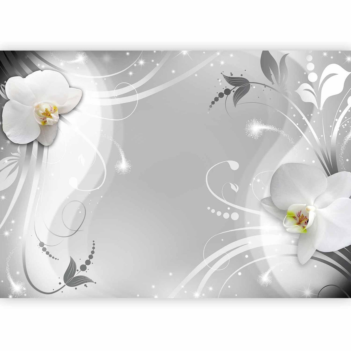 Fototapete - Charming orchid