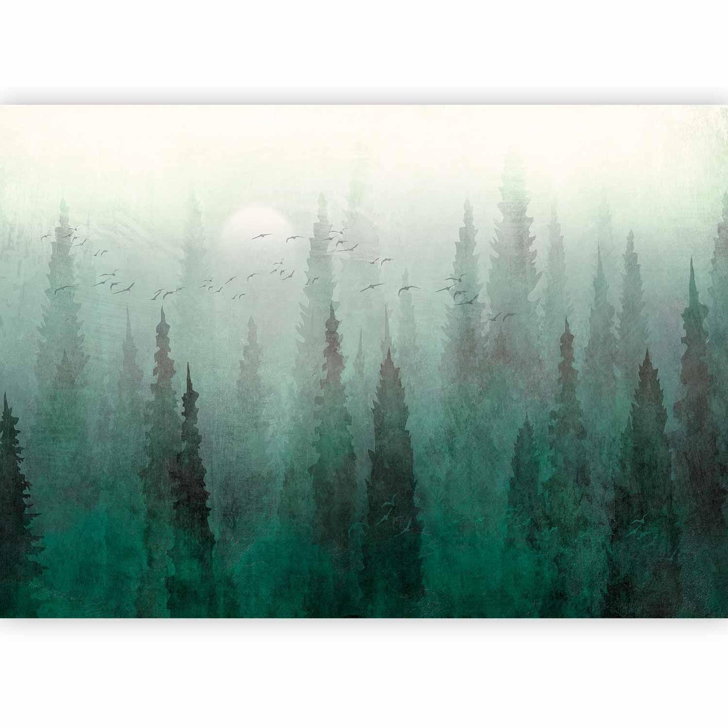 Fototapete - Bird's eye perspective - landscape of a green forest with trees in the mist Artgeist