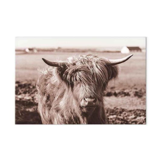 Leinwandbild - A Scottish Cow in Sepia