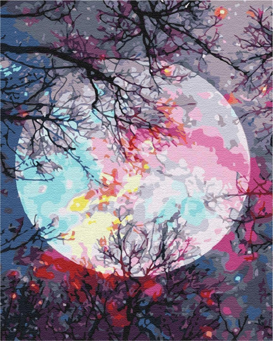 Malen nach Zahlen - Magical moon