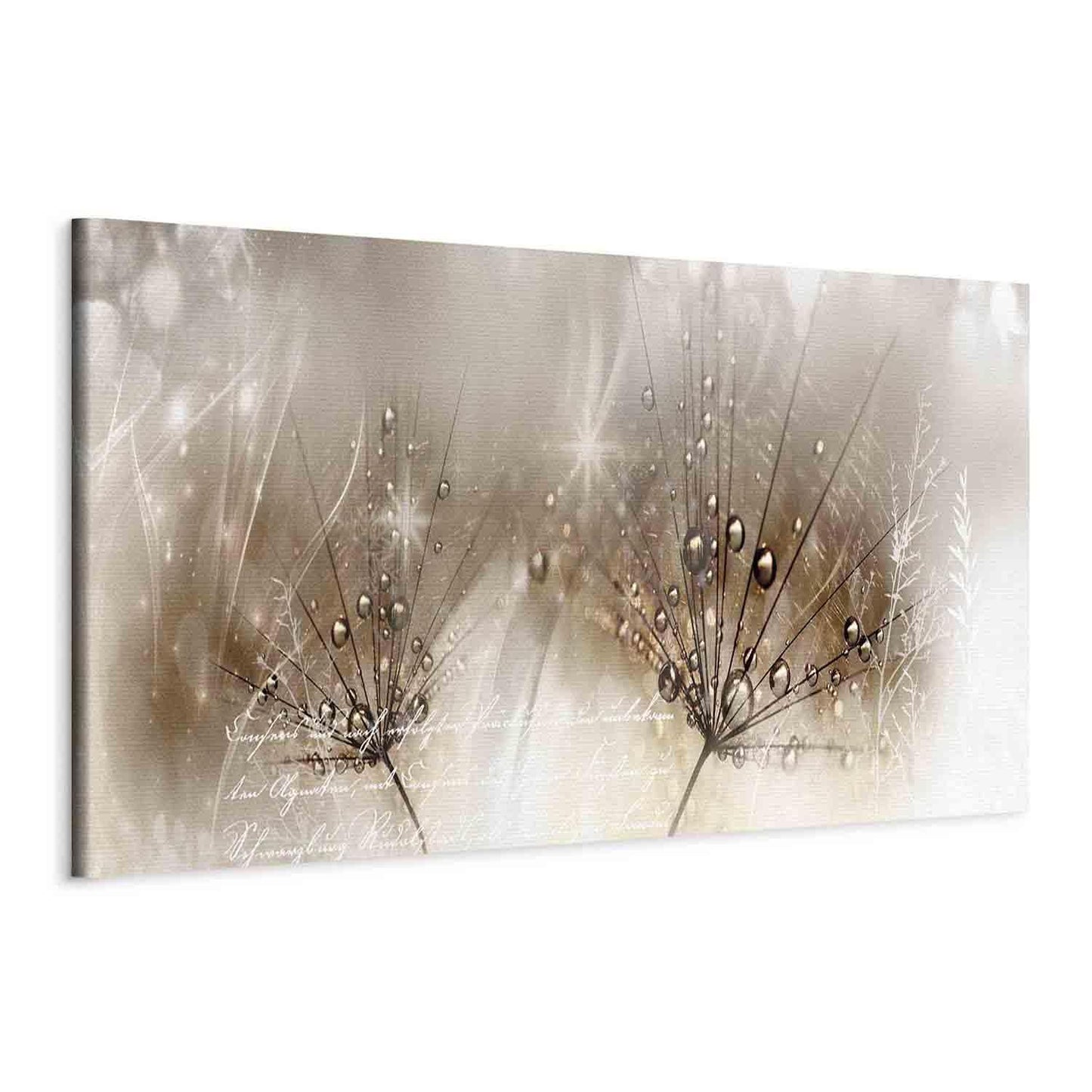 Leinwandbild - Drops of Dew (1 Part) Brown Narrow