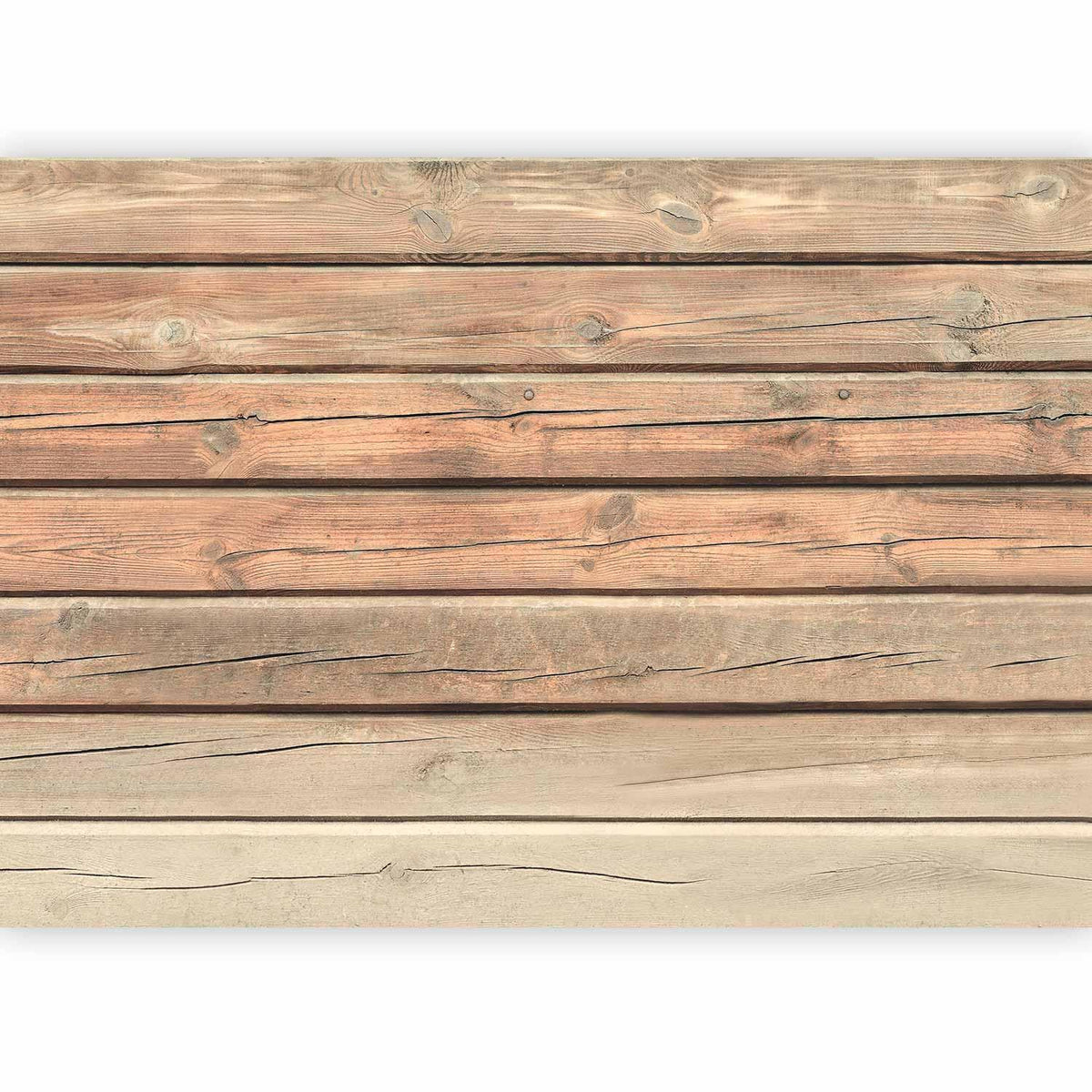 Fototapete - Old Pine
