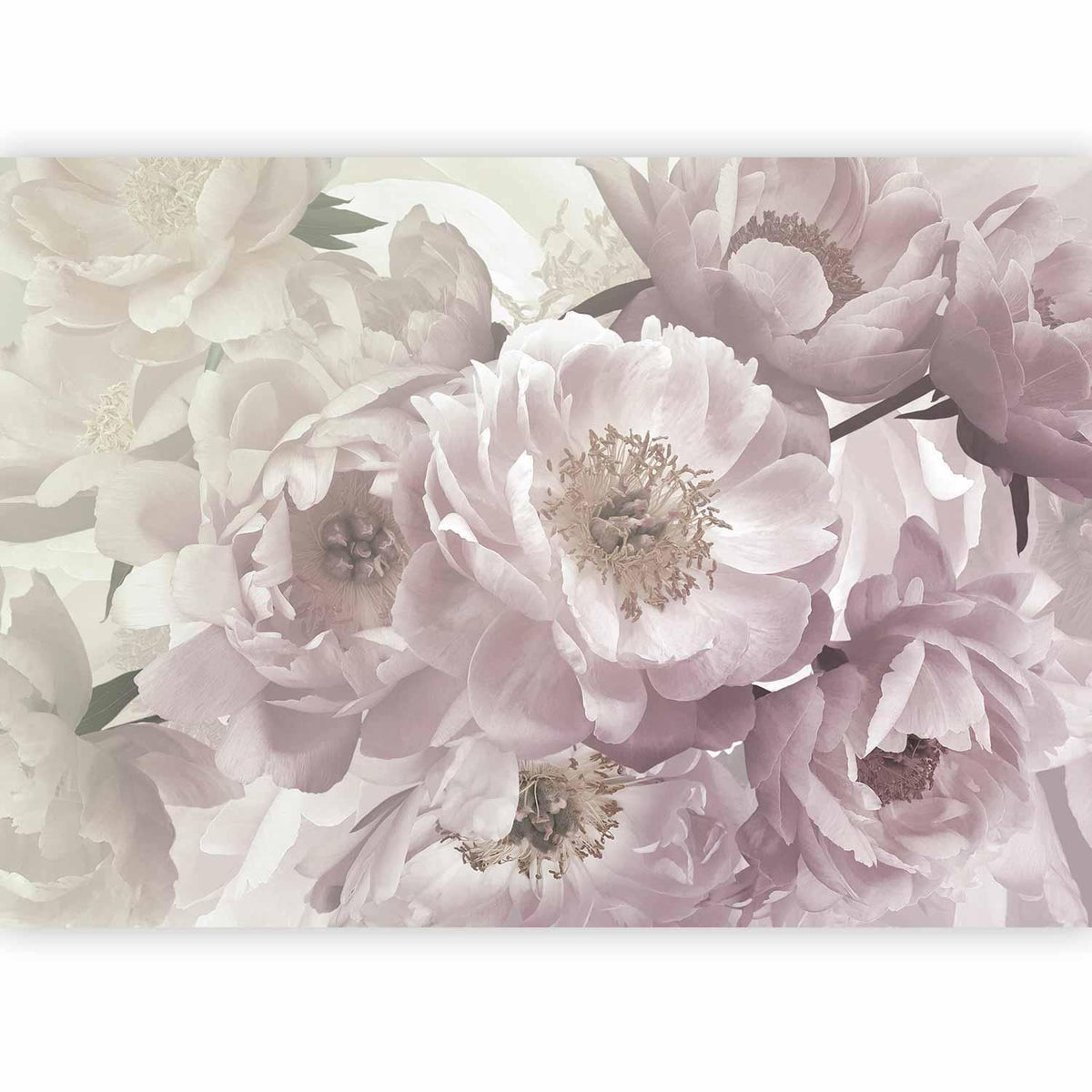 Fototapete - Flowery Thought