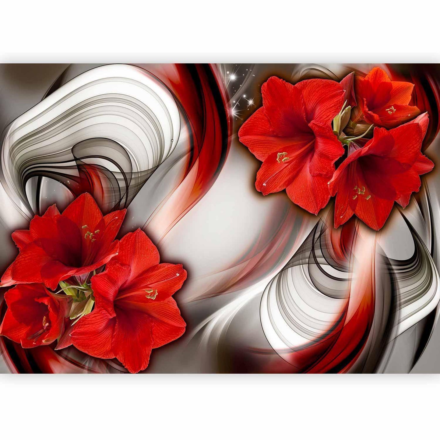 Fototapete „Amaryllis – Ballad of the Red“ – Blühende Eleganz in Rot