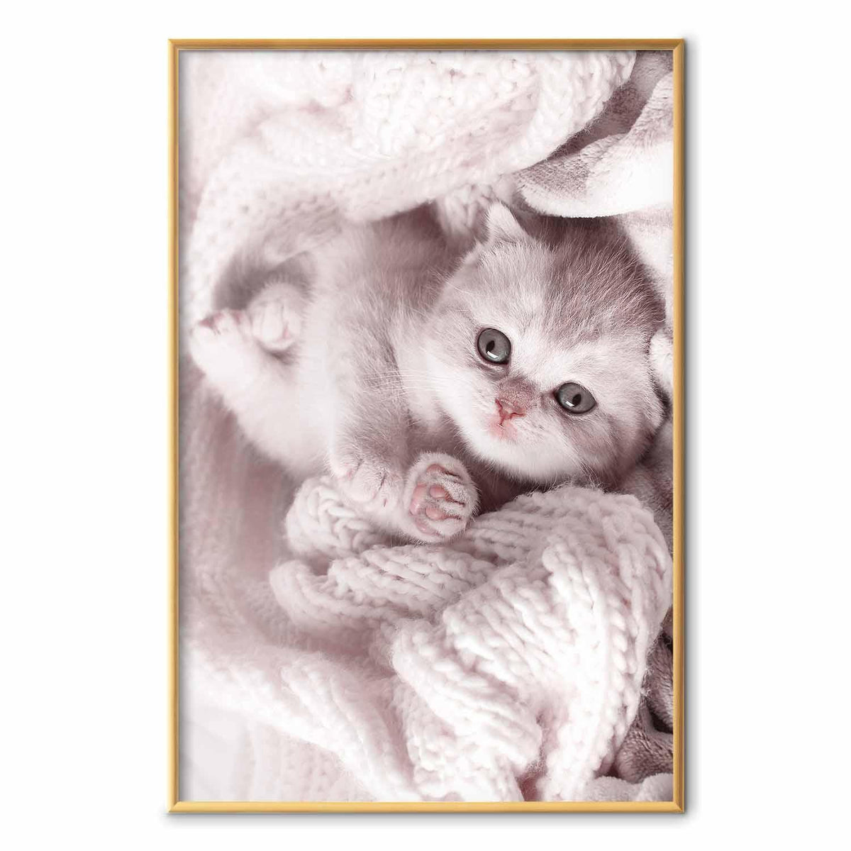 Poster - Lover of Rest