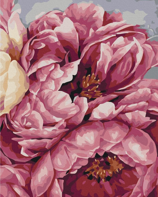 Malen nach Zahlen - Blooming peonies