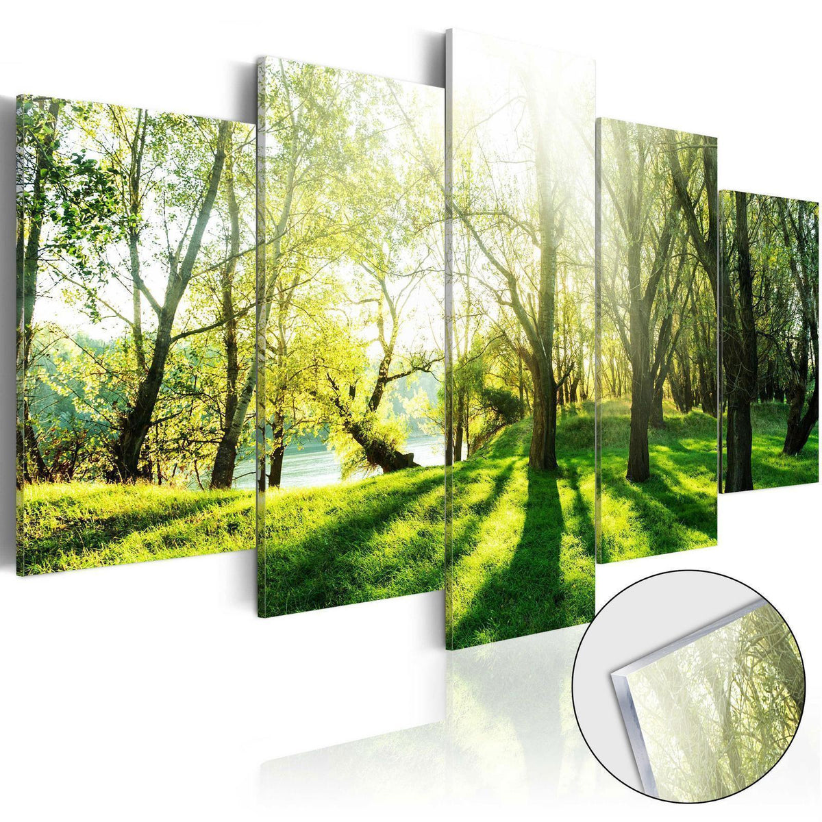 Wandbild Grüne Lichtung – 5-teiliges Acrylglasbild mit Waldwiese am Wasser