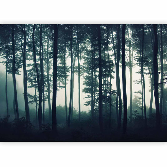 Fototapete - Dark Forest