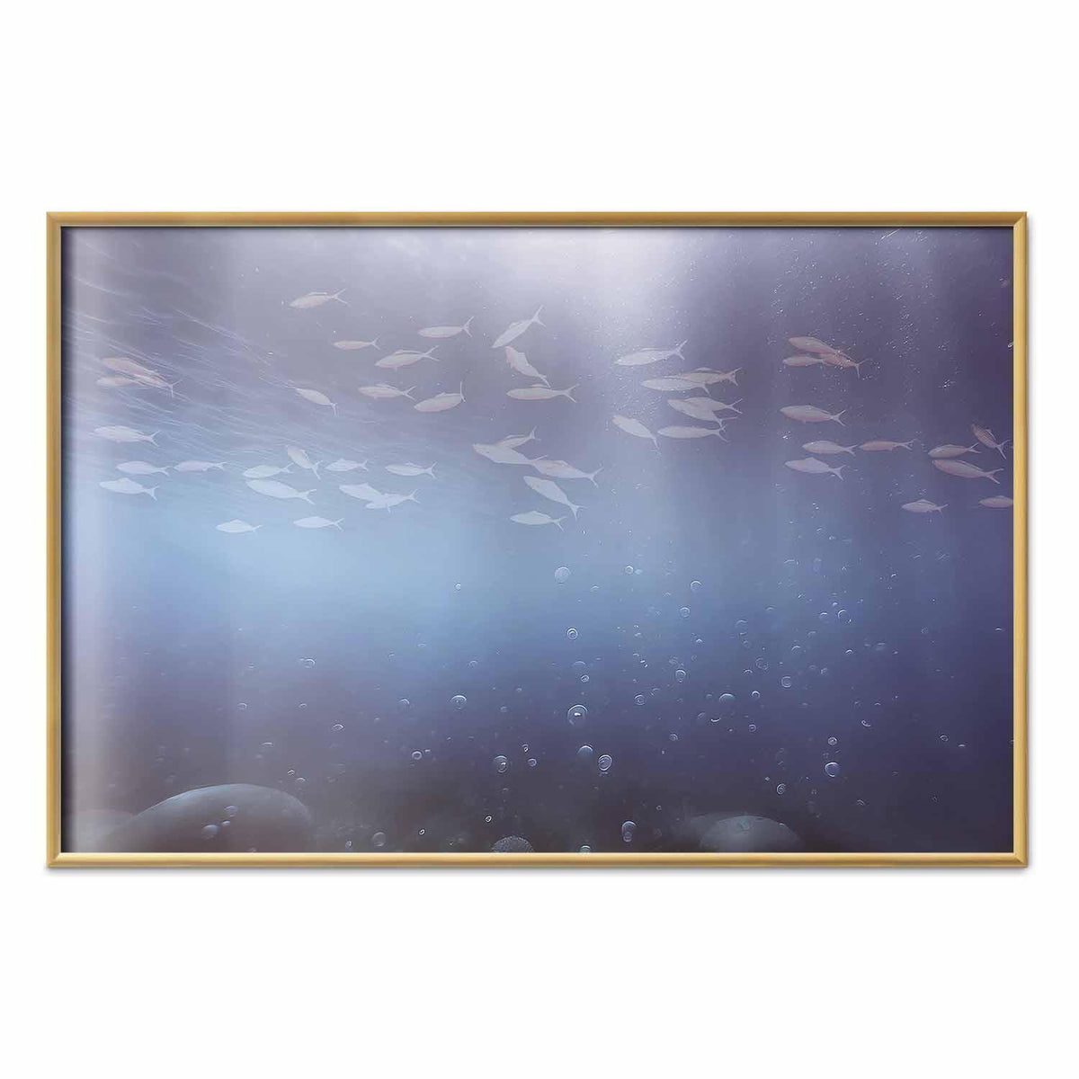 Poster - Fish in the Depths