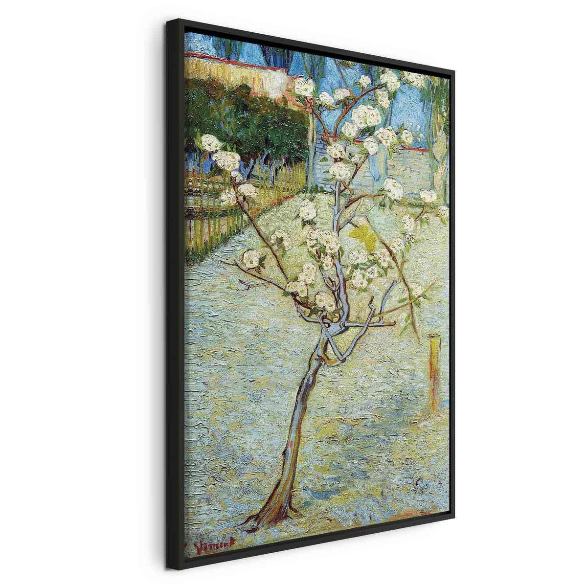 Leinwandbild - Vincent van Gogh – Blossoming Pear Tree