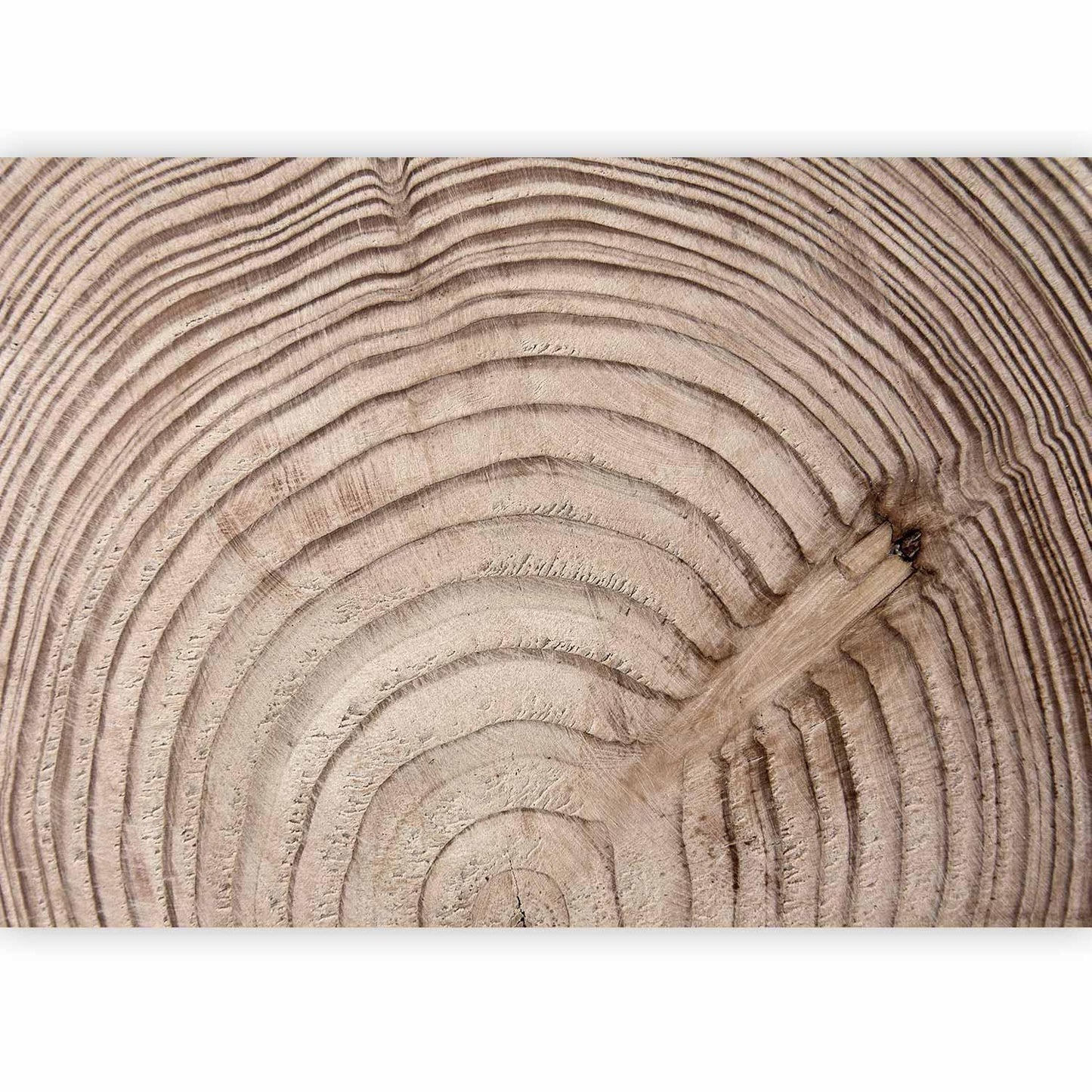 Fototapete Holzmaserung - Authentische Holzstruktur mit natürlichen Brauntönen