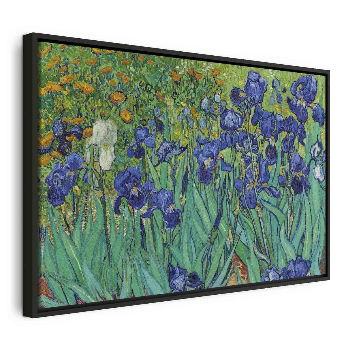 Leinwandbild - Vincent Van Gogh – Iryses