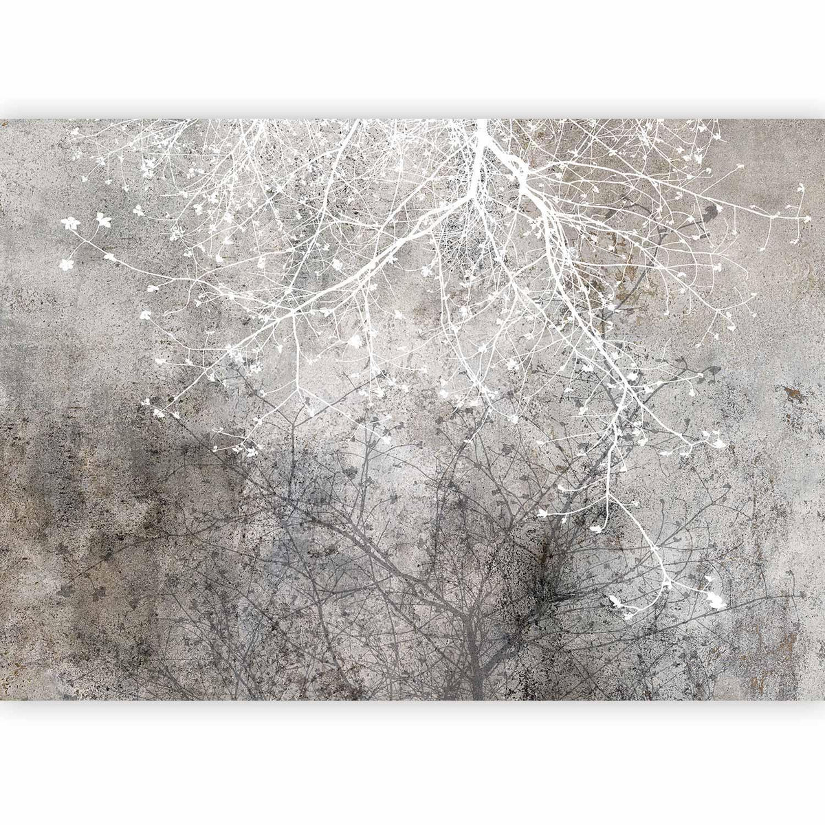 Fototapete - Clear Branching