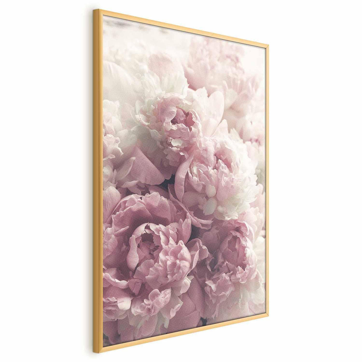 Poster - Delicate Peonies