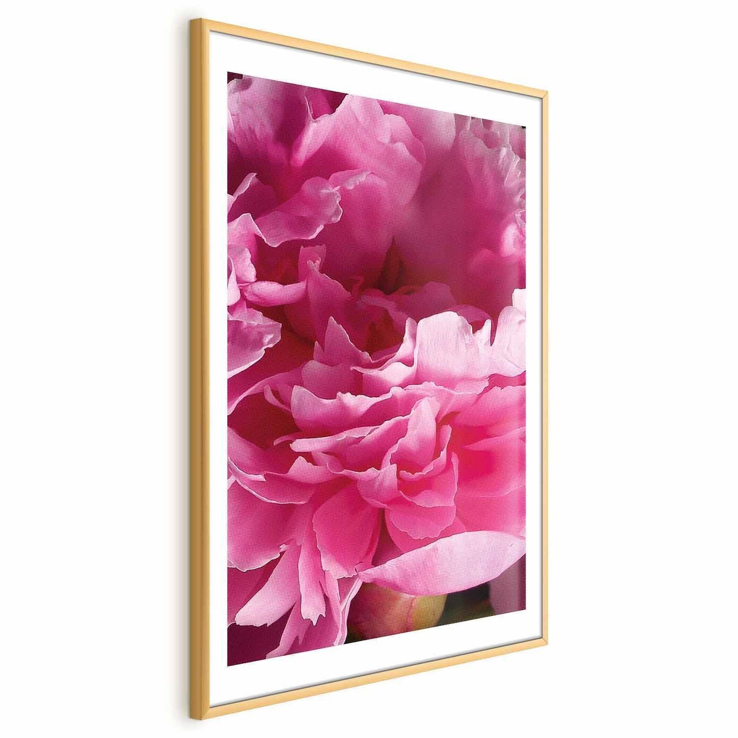 Poster - Beautiful Peonies Artgeist