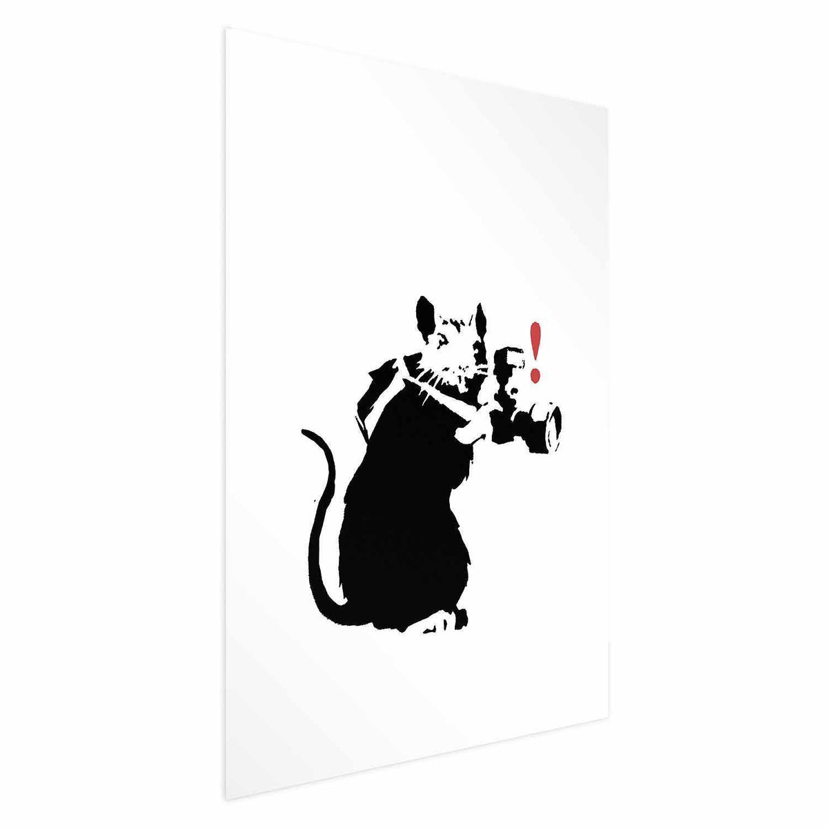 Poster - Photographer Rat