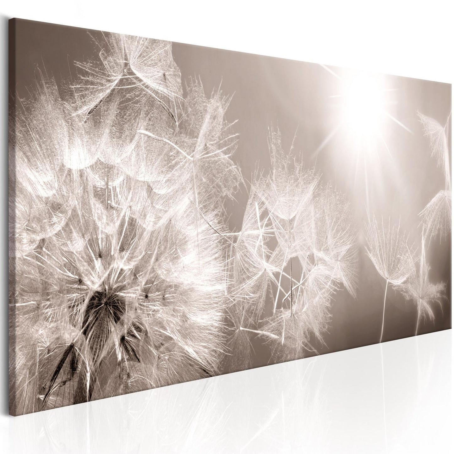 Leinwandbild - Summer Dandelions Artgeist