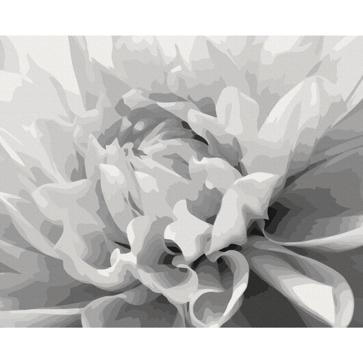 Malen nach Zahlen - Black & White Flower