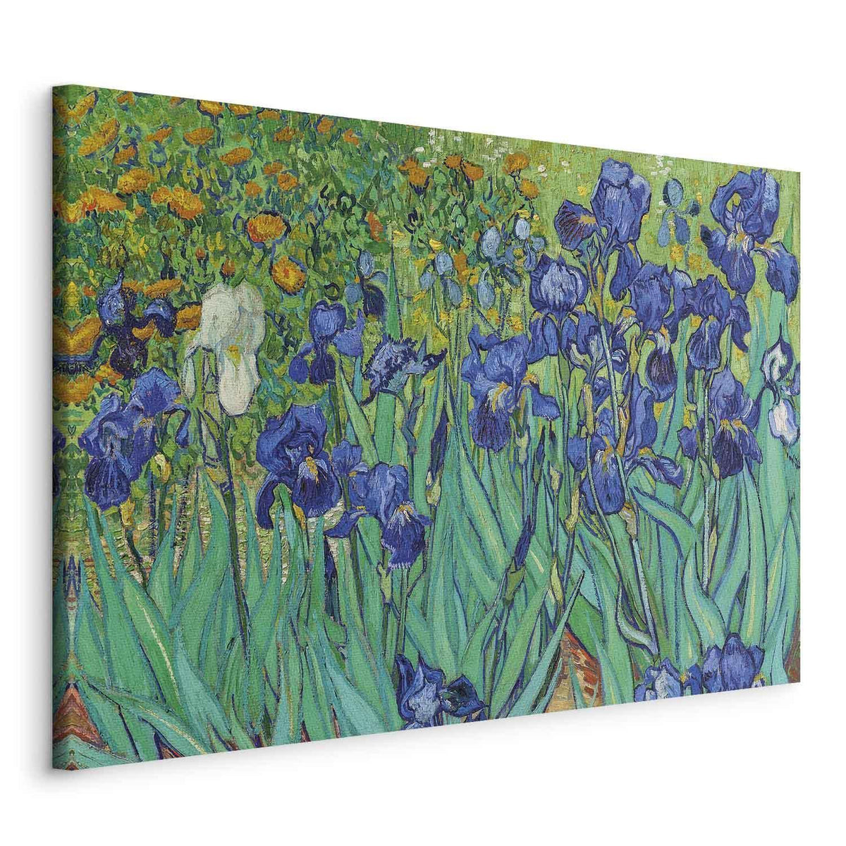 Leinwandbild - Vincent Van Gogh – Iryses