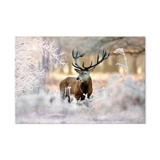 Leinwandbild - Deer in the Cold