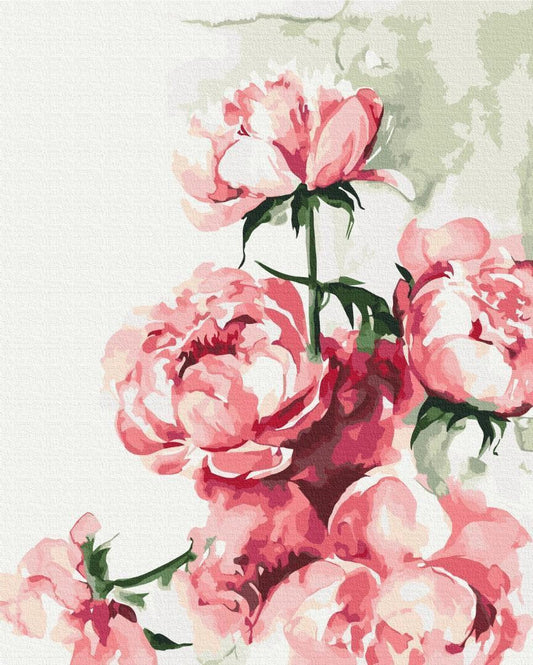 Malen nach Zahlen - Watercolour with peonies