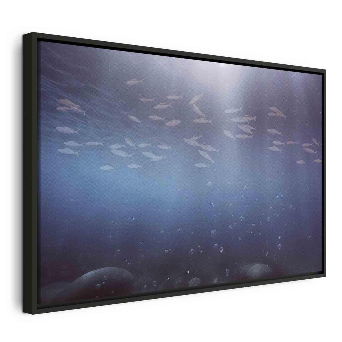 Leinwandbild - Fish in the depths