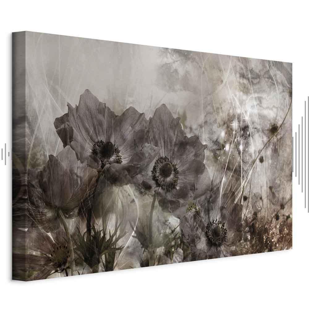 Leinwandbild - Anemones in Sepia (1 Part) Wide