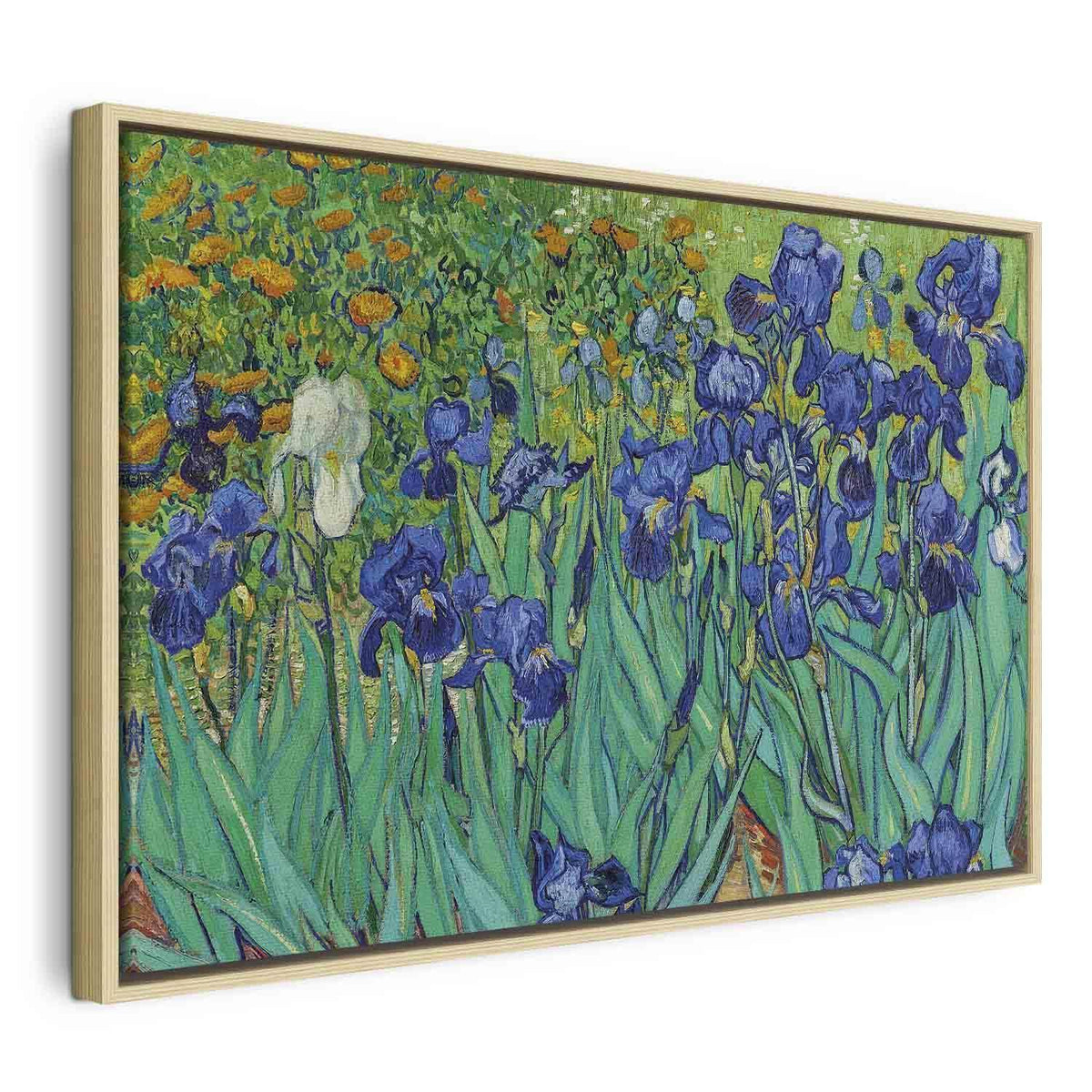 Leinwandbild - Vincent Van Gogh – Iryses