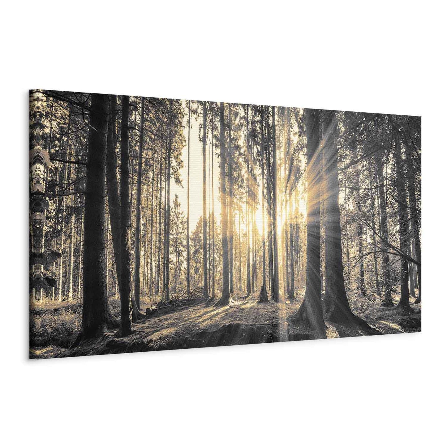 Leinwandbild - Forest Sun Artgeist
