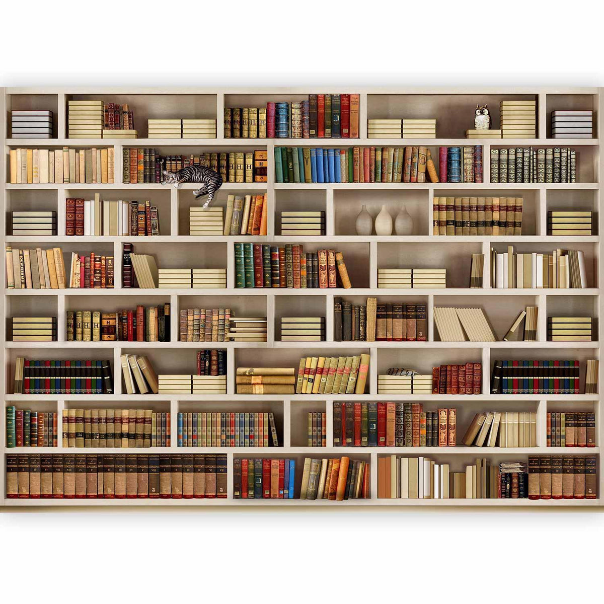 Fototapete Bücherregal – Vintage Bibliothek mit antiken Büchern