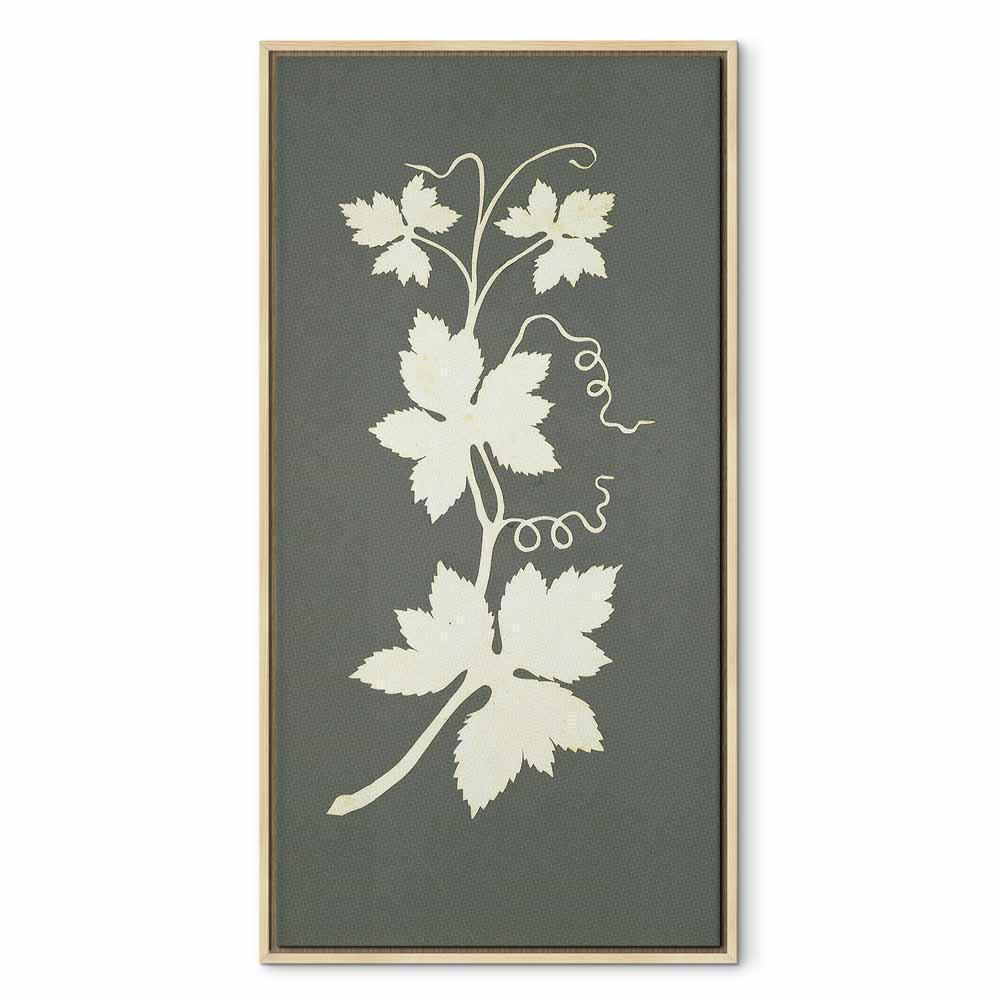 Leinwandbild - Philipp Otto Runge – Hop plant