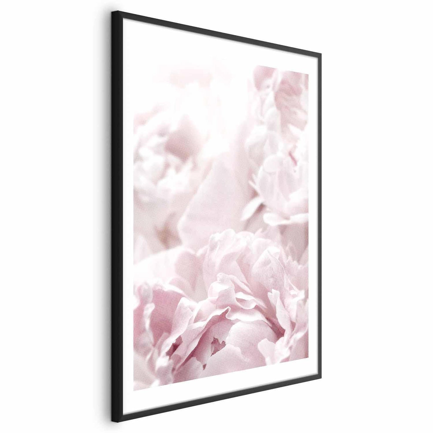 Poster - Fluffy Peonies Artgeist