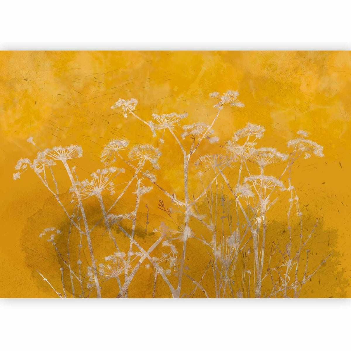 Fototapete - Meadow Bathed in the Sun