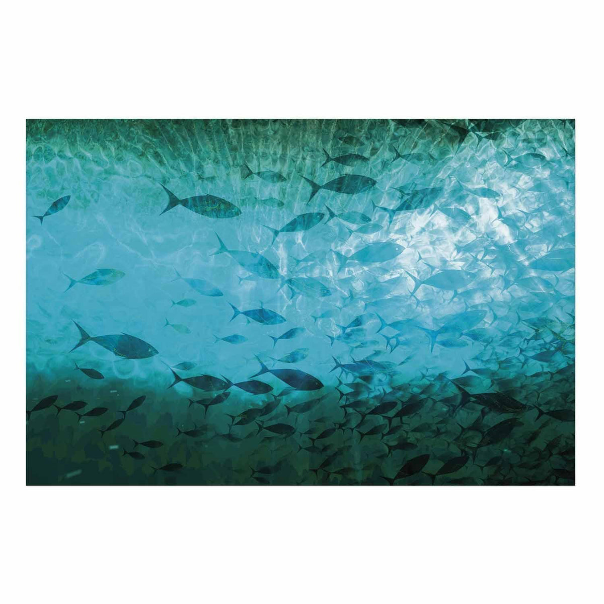 Poster - Group of Dark Fish