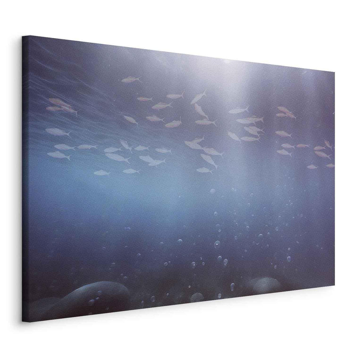 Leinwandbild - Fish in the depths
