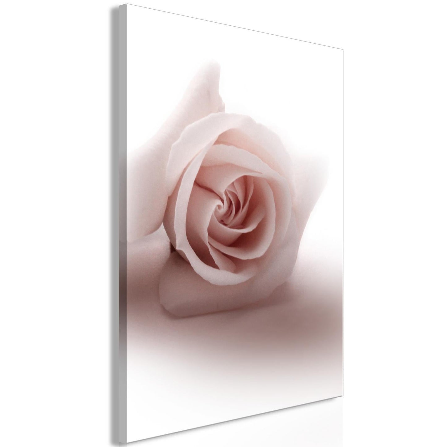 Leinwandbild - Floral Glamour Glow (1-part) - Delicate and Pastel Pink Rose Artgeist