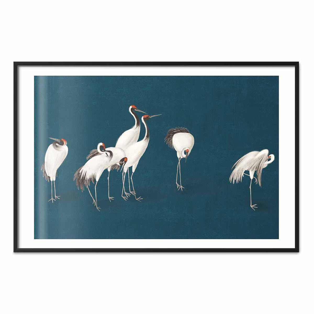 Poster - Evening at the Pond - group of cranes drawn in dry pastel on a dark turquoise background