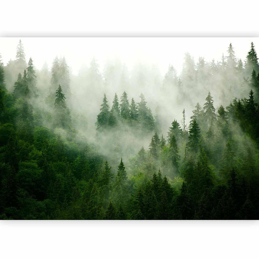 Fototapete - Mountain Forest (Green)