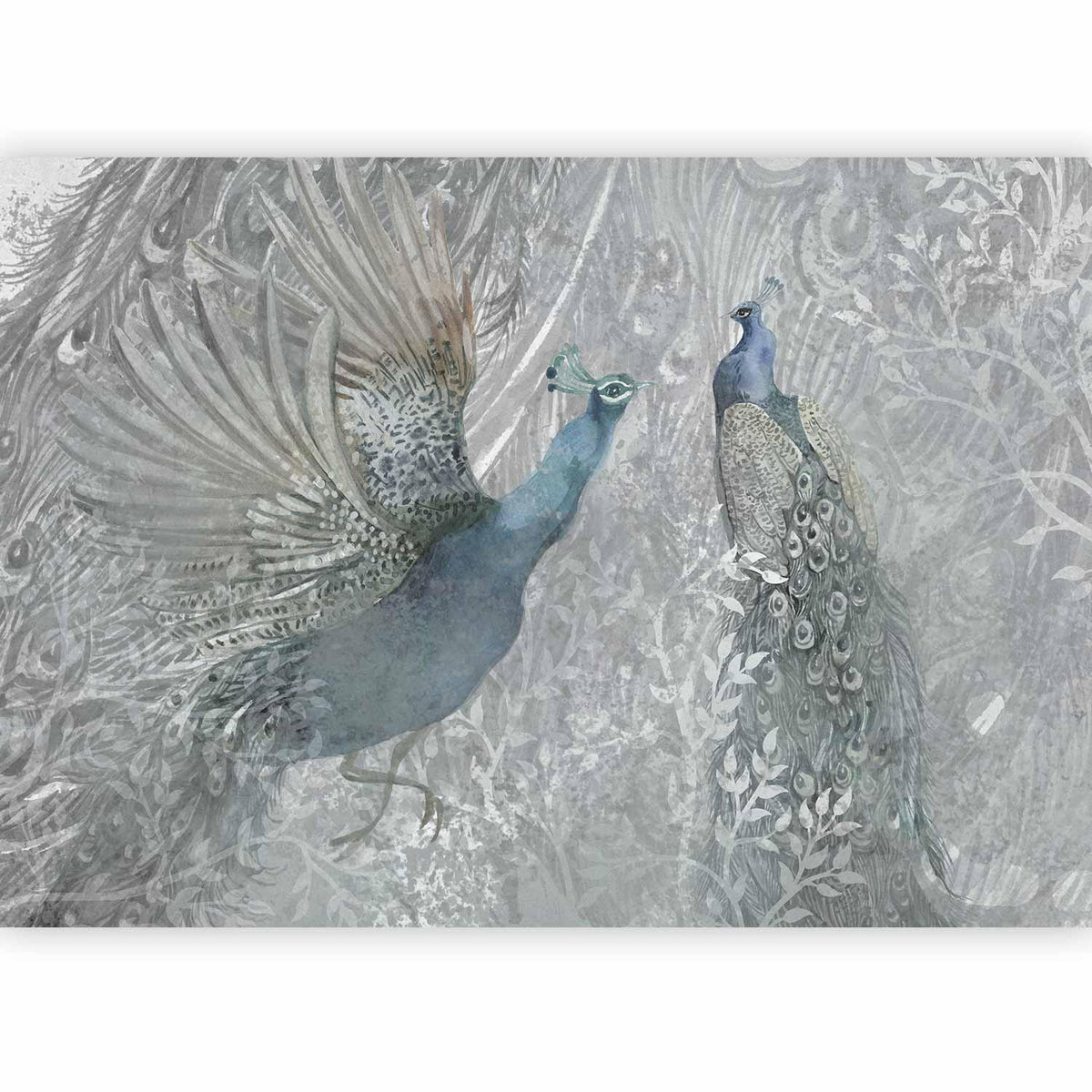 Fototapete - Peacocks Dancing - Second Variant