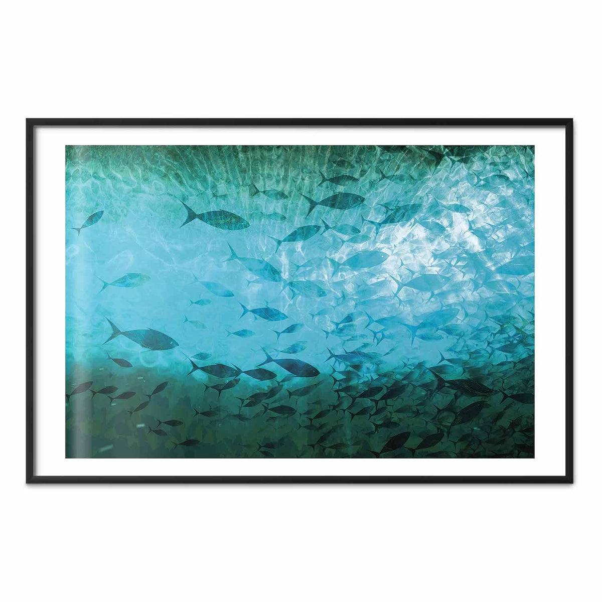 Poster - Group of Dark Fish