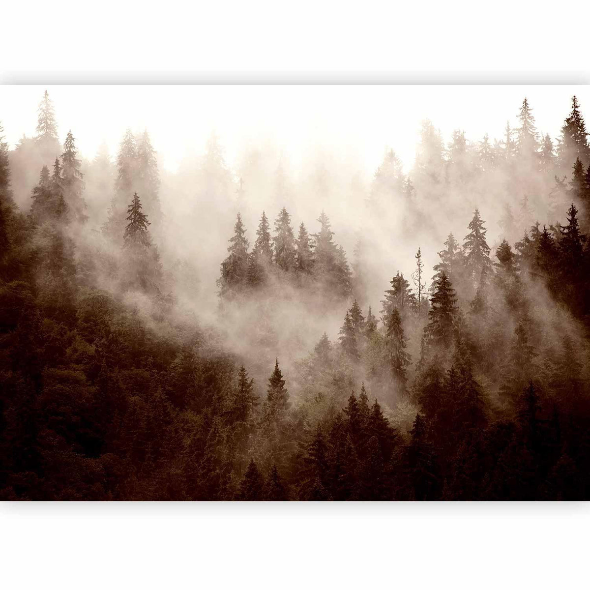 Fototapete Gebirgswald Sepia - Vintage Waldlandschaft in warmen Brauntönen