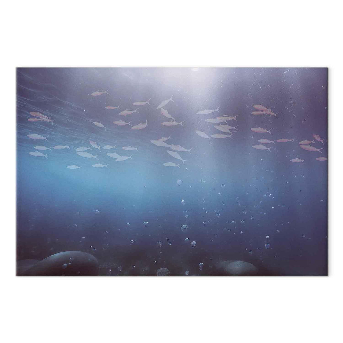 Leinwandbild - Fish in the depths