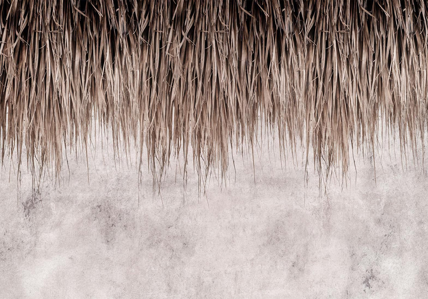Fototapete „Palmenkronen“ – Exotisches Dschungel-Feeling für deine Wände sawelt.eu
