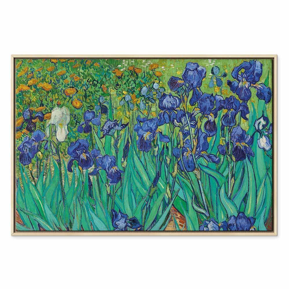 Leinwandbild - Vincent Van Gogh – Iryses