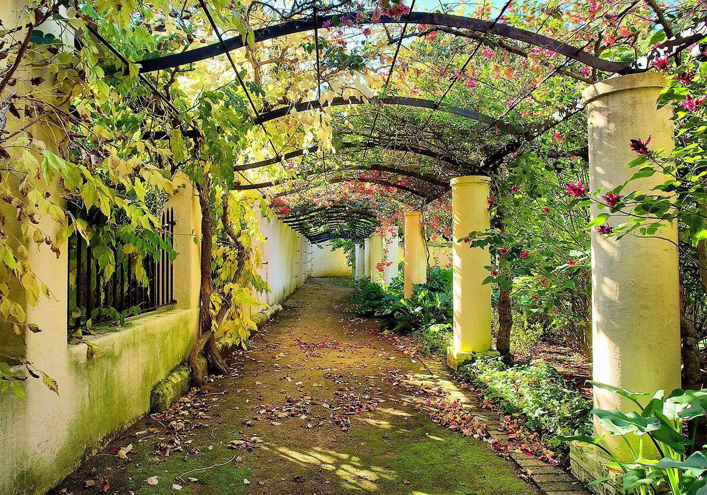 Fototapete - Pergola Artgeist
