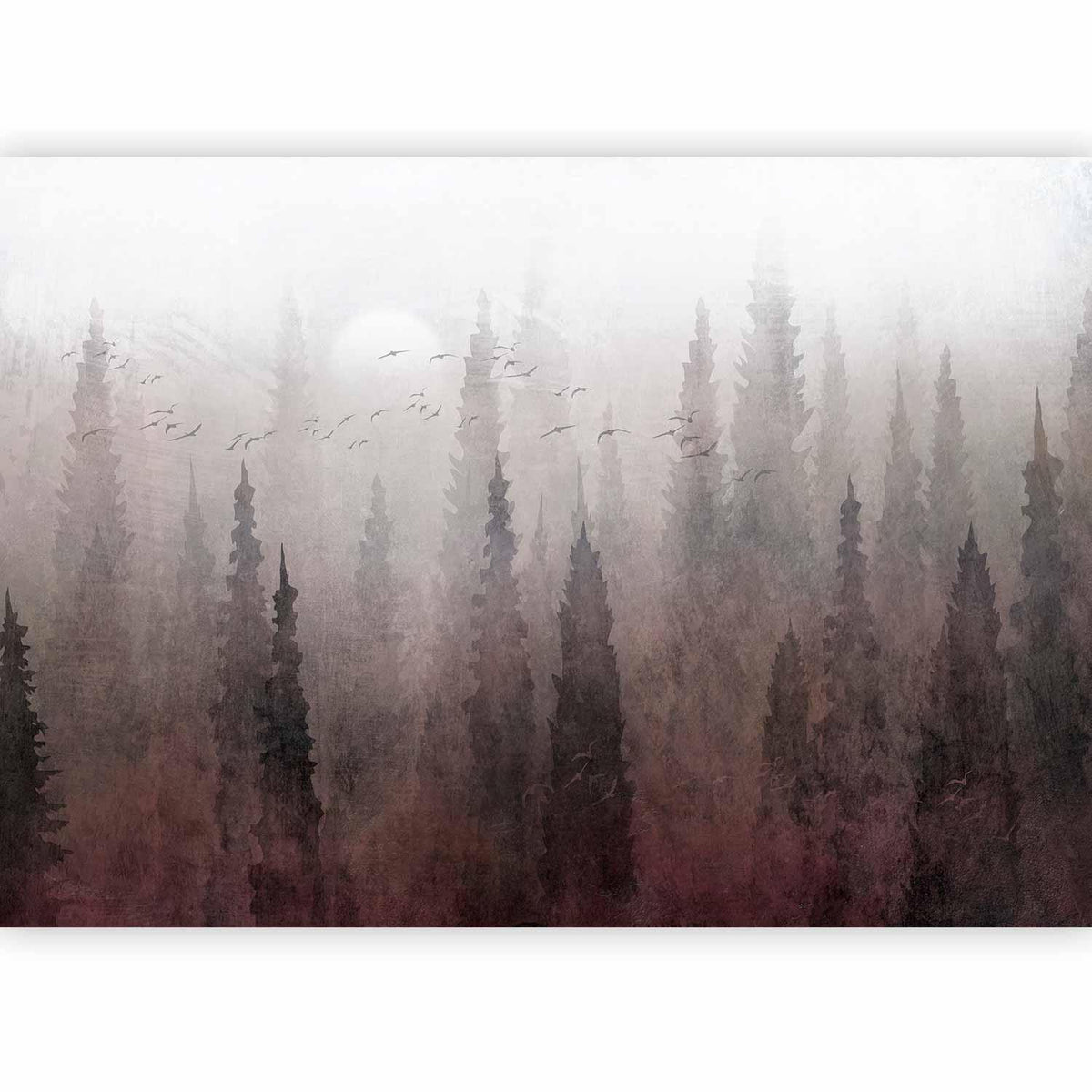 Fototapete - Bird's flight over treetops - landscape of a dark forest in fog