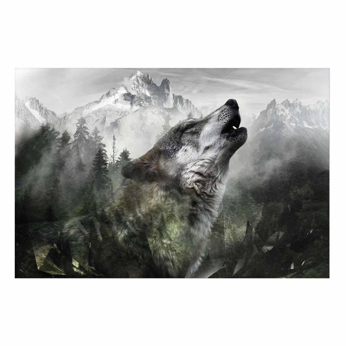 Poster - Howling Wolf