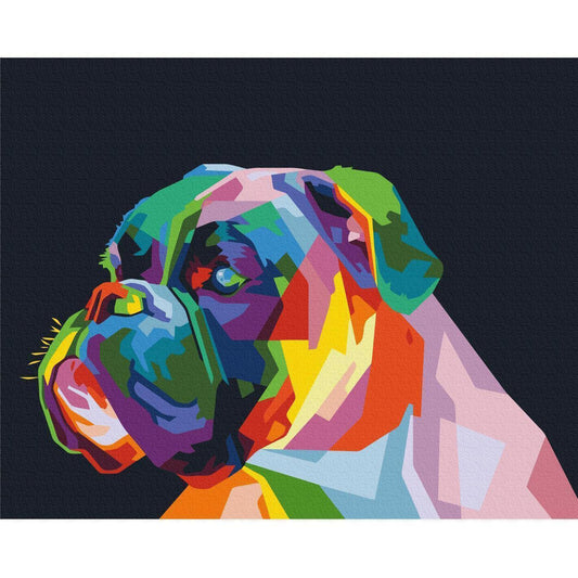 Malen nach Zahlen - Colourful Boxer