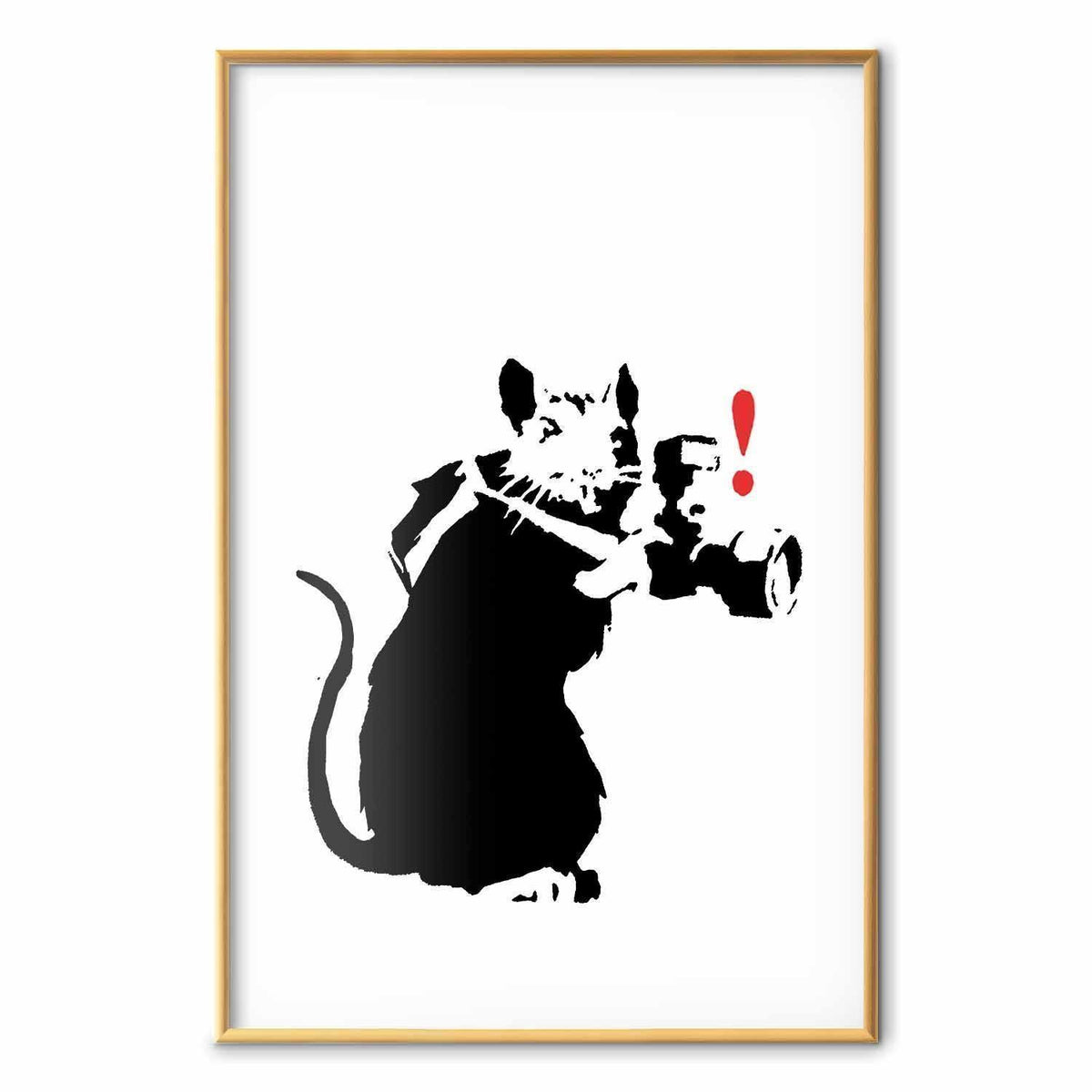 Poster - Photographer Rat