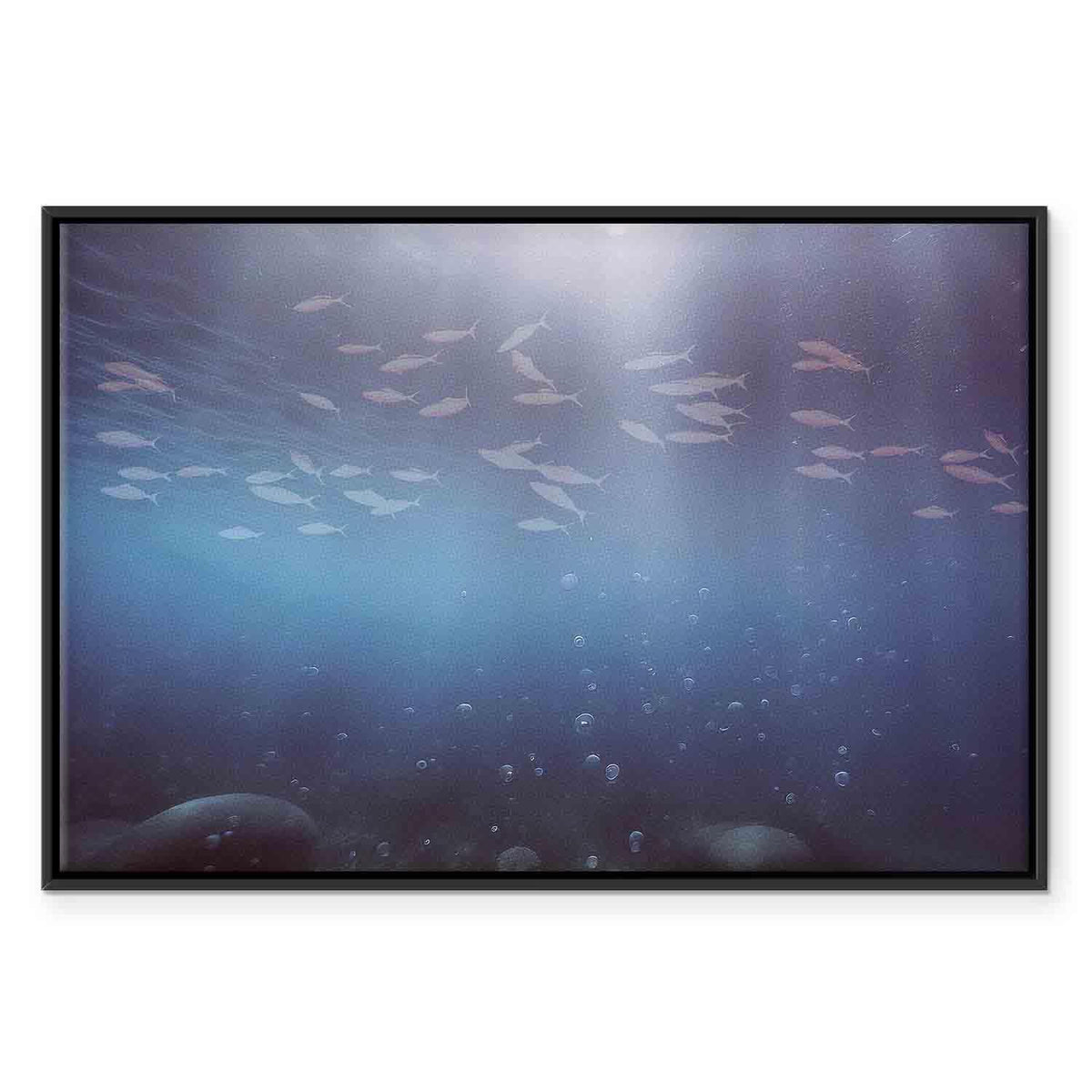 Leinwandbild - Fish in the depths